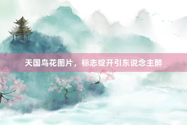 天国鸟花图片，标志绽开引东说念主醉