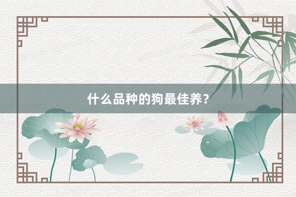 什么品种的狗最佳养？