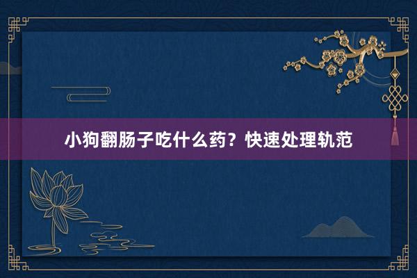 小狗翻肠子吃什么药？快速处理轨范