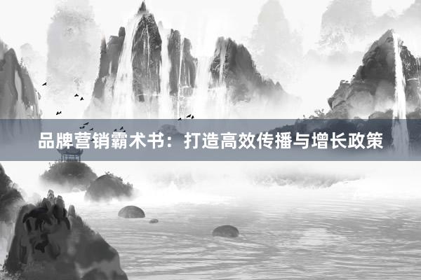 品牌营销霸术书：打造高效传播与增长政策